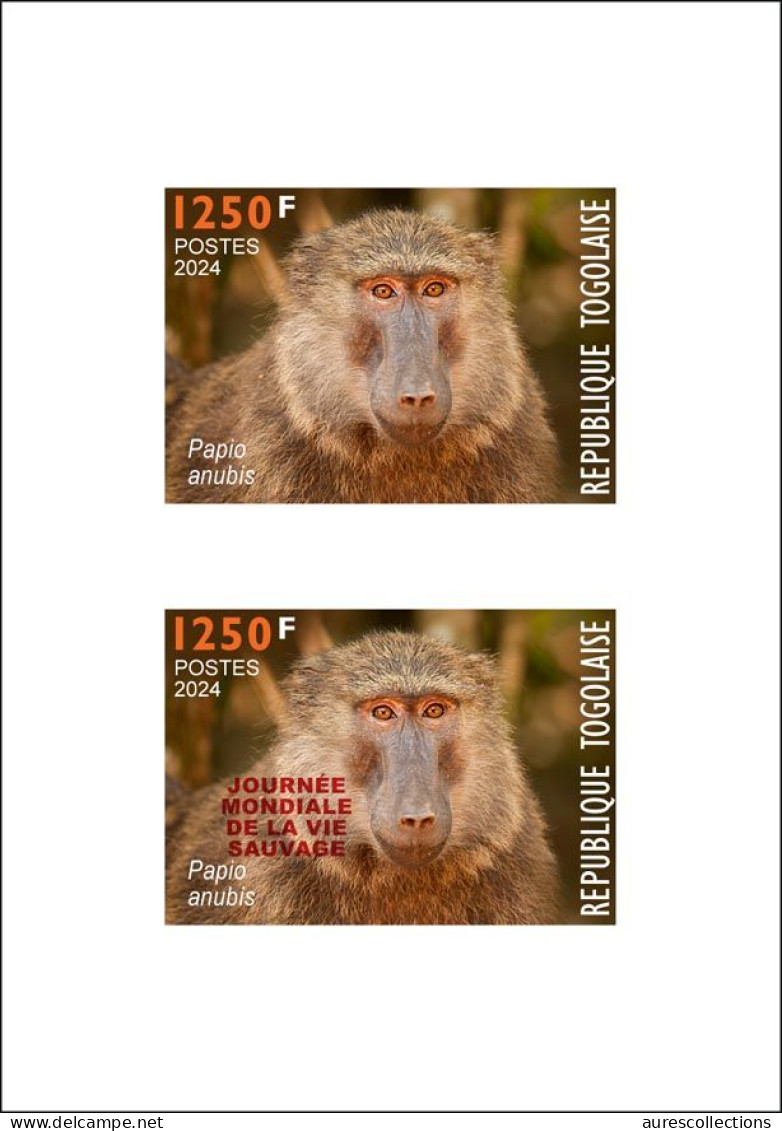 TOGO 2024 DELUXE PROOF - REGULAR & OVERPRINT - MONKEY MONKEYS APES APE BABOON SINGES - BIODIVERSITY BIODIVERSITE - Monkeys