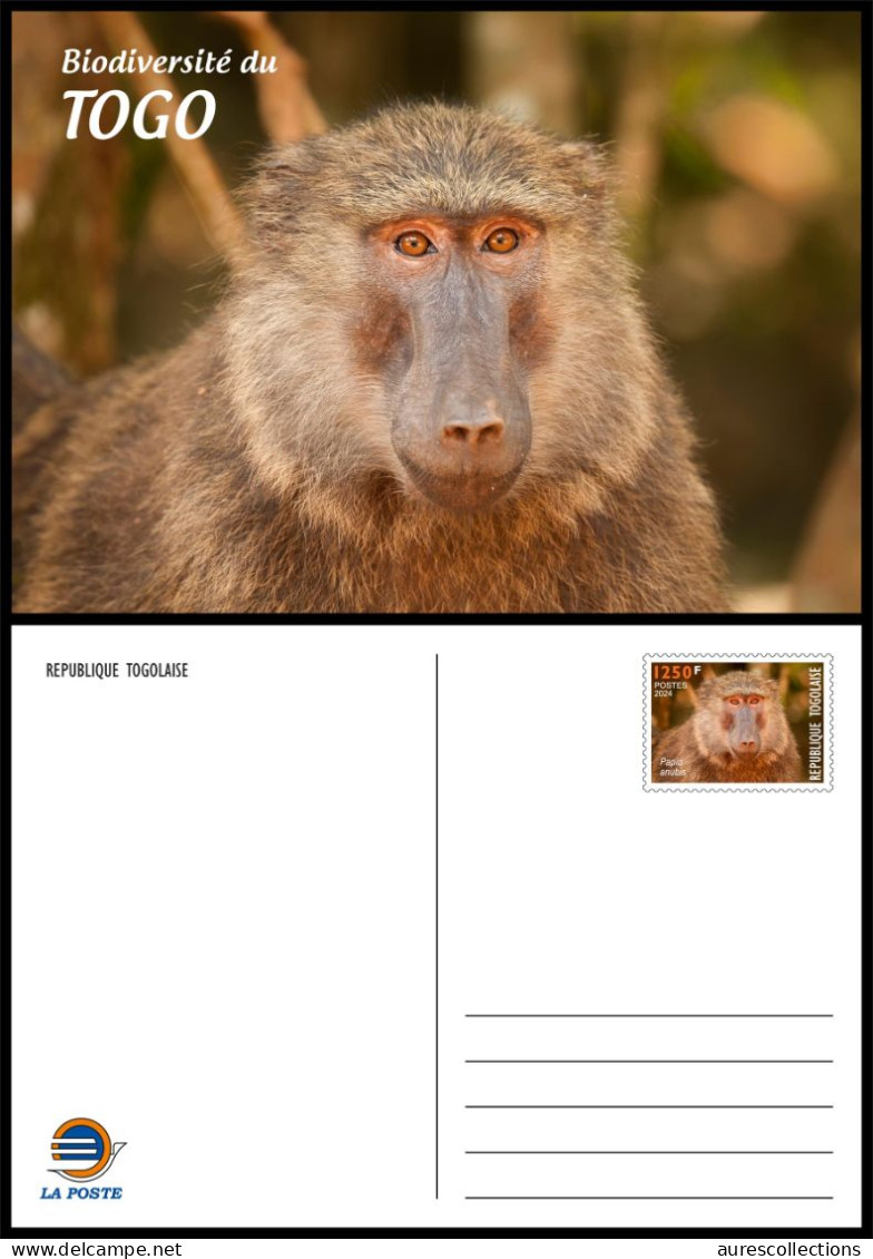 TOGO 2024 STATIONERY CARD - REGULAR - MONKEY MONKEYS APES APE BABOON SINGES - BIODIVERSITY BIODIVERSITE - Apen