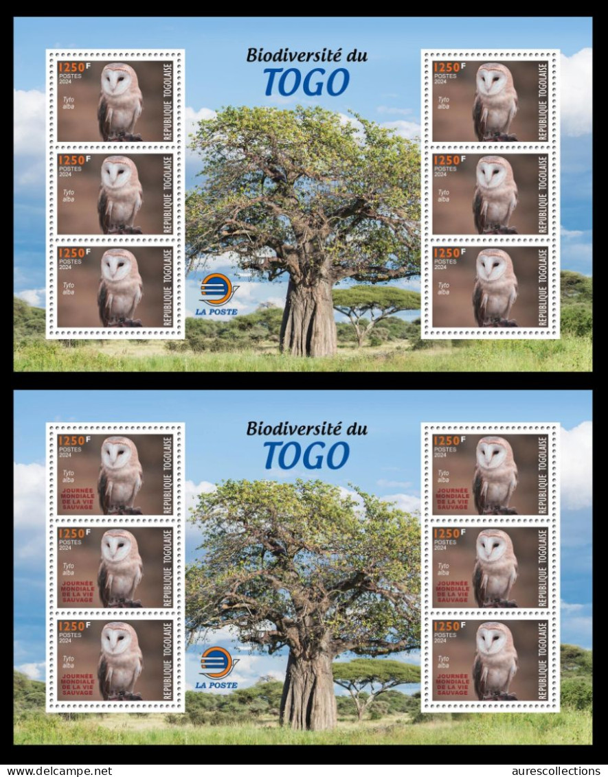 TOGO 2024 MS 6V - REGULAR & OVERPRINT - OWLS OWL HIBOU HIBOUX BIRDS OISEAUX - BIODIVERSITY BIODIVERSITE - MNH - Gufi E Civette