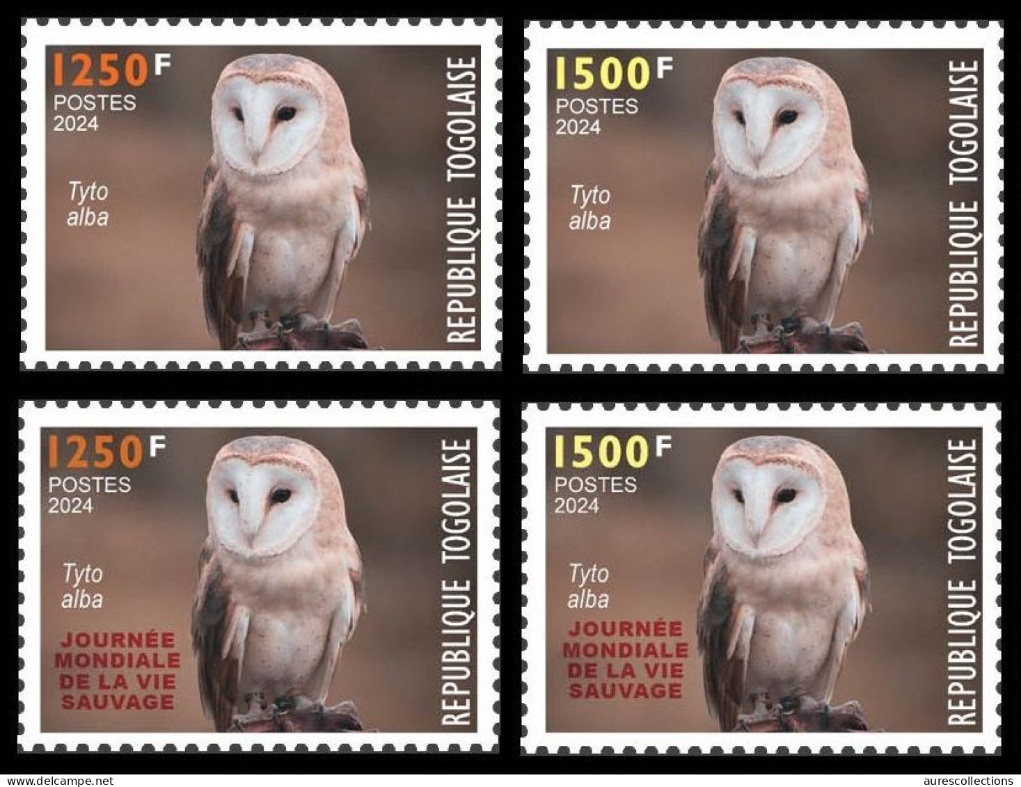 TOGO 2024 SET 4V - REGULAR & OVERPRINT - OWLS OWL HIBOU HIBOUX BIRDS OISEAUX - BIODIVERSITY BIODIVERSITE - MNH - Gufi E Civette