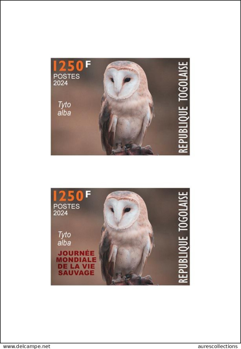 TOGO 2024 DELUXE PROOF - REGULAR & OVERPRINT - OWLS OWL HIBOU HIBOUX BIRDS OISEAUX - BIODIVERSITY BIODIVERSITE - Uilen