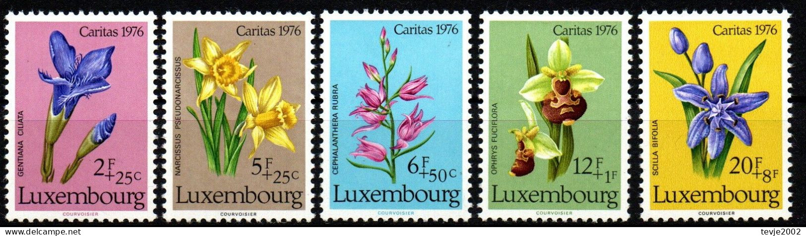 Luxemburg 1976 - Mi.Nr. 936 - 940 - Postfrisch MNH - Blumen Flowers - Andere & Zonder Classificatie