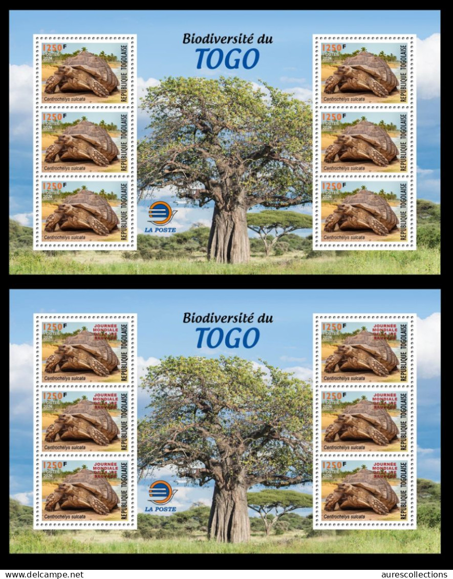 TOGO 2024 MS 6V - REGULAR & OVERPRINT - TURTLE TURTLES TORTUES TORTUE REPTILES - BIODIVERSITY BIODIVERSITE - MNH - Tortues