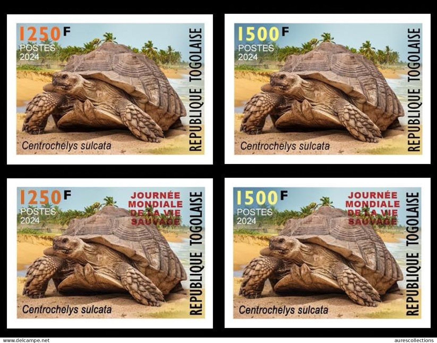 TOGO 2024 SET 4V IMPERF - REGULAR & OVERPRINT - TURTLE TURTLES TORTUES TORTUE REPTILES - BIODIVERSITY BIODIVERSITE - MNH - Schildpadden