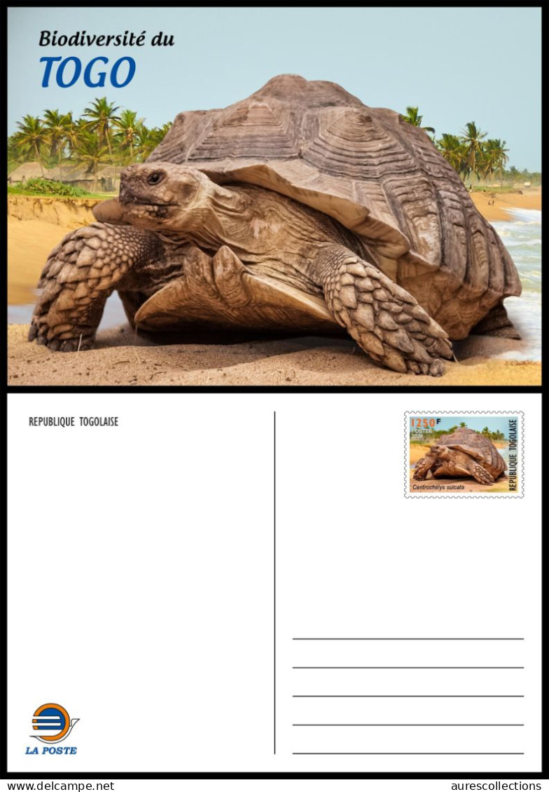 TOGO 2024 STATIONERY CARD - REGULAR - TURTLE TURTLES TORTUES TORTUE REPTILES - BIODIVERSITY BIODIVERSITE - Turtles