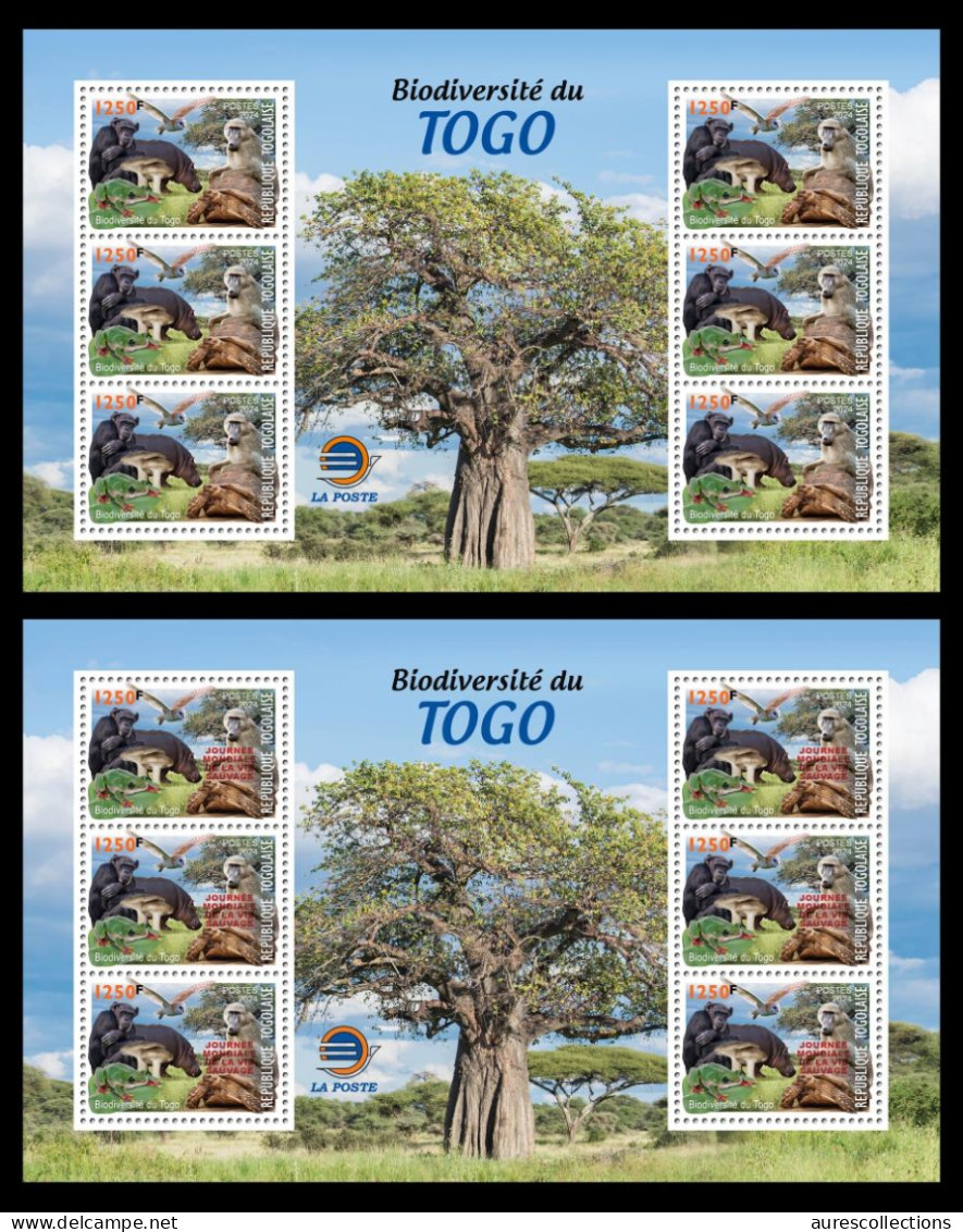 TOGO 2024 MS 6V MX - REG & OVPT - MUSHROOMS OWL OWLS FROG FROGS TURTLE TURTLES HIPPOPOTAMUS BAOBAB MONKEY MONKEYS MNH - Turtles