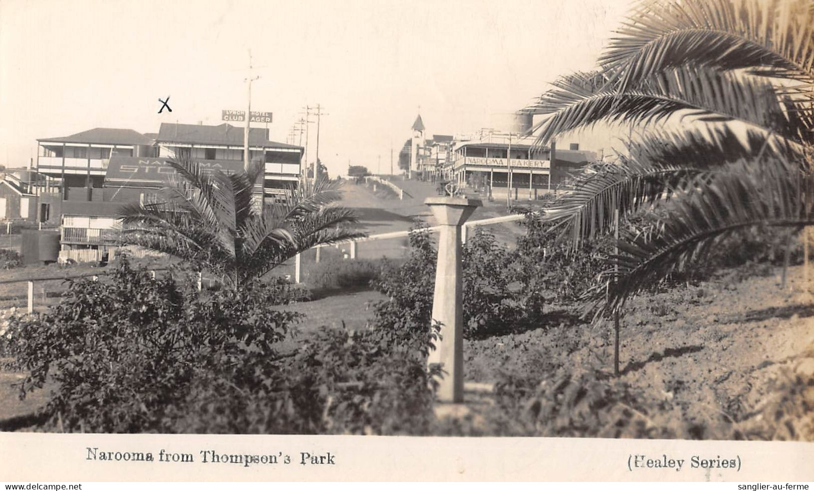 CPA AUSTRALIE / NAROOMA FROM THOMPSON'S PARK - Altri & Non Classificati