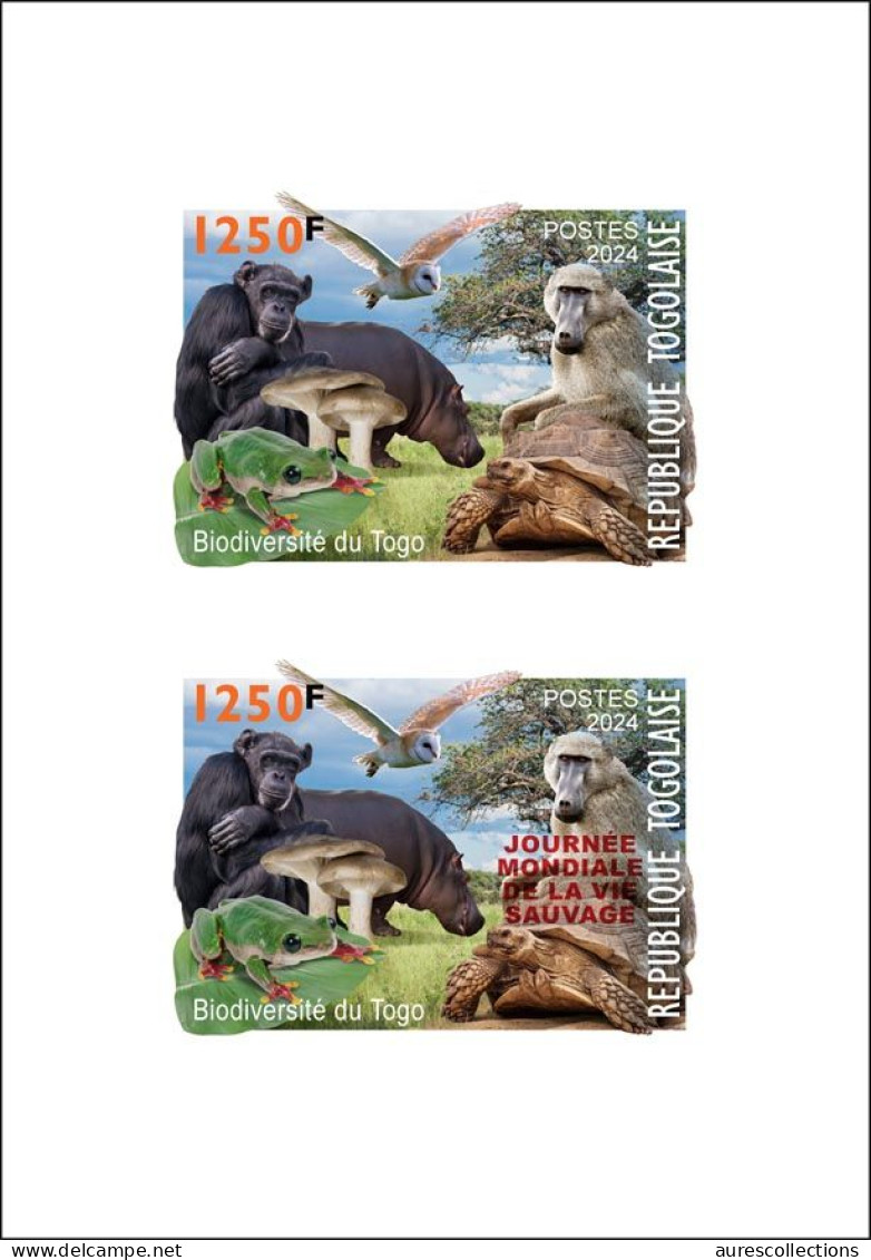 TOGO 2024 DELUXE PROOF MX - REG & OVPT - MUSHROOMS OWL FROG FROGS TURTLE TURTLES HIPPOPOTAMUS BAOBAB MONKEY MONKEYS - Tortues