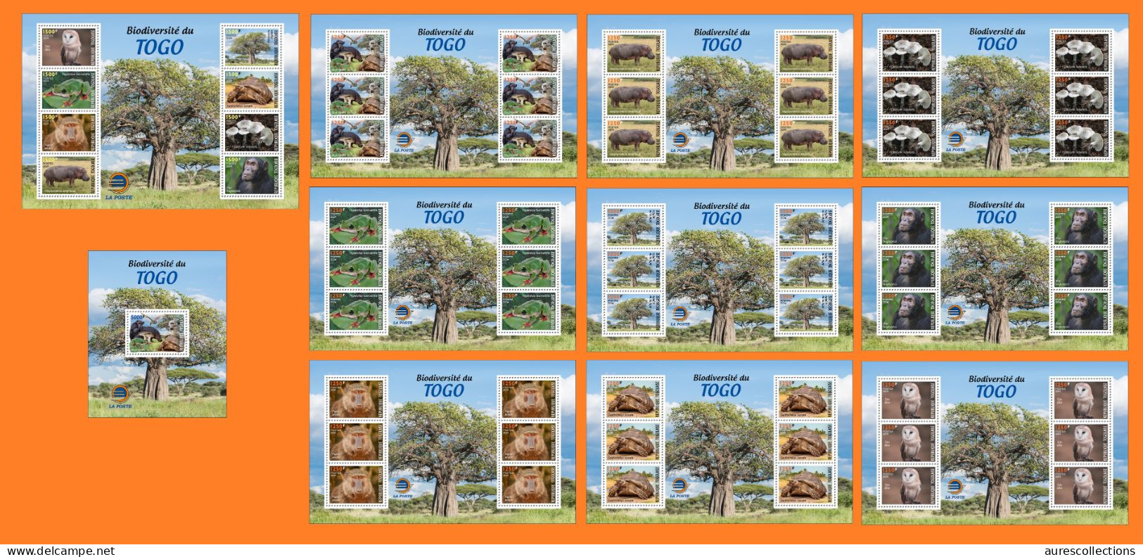 TOGO 2024 FULL PACK 22 MS - REG & OVPT - MUSHROOMS OWL FROG FROGS TURTLE TURTLES HIPPOPOTAMUS BAOBAB MONKEY MONKEYS MNH - Schildpadden