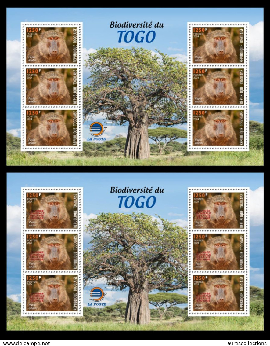 TOGO 2024 FULL PACK 22 MS - REG & OVPT - MUSHROOMS OWL FROG FROGS TURTLE TURTLES HIPPOPOTAMUS BAOBAB MONKEY MONKEYS MNH