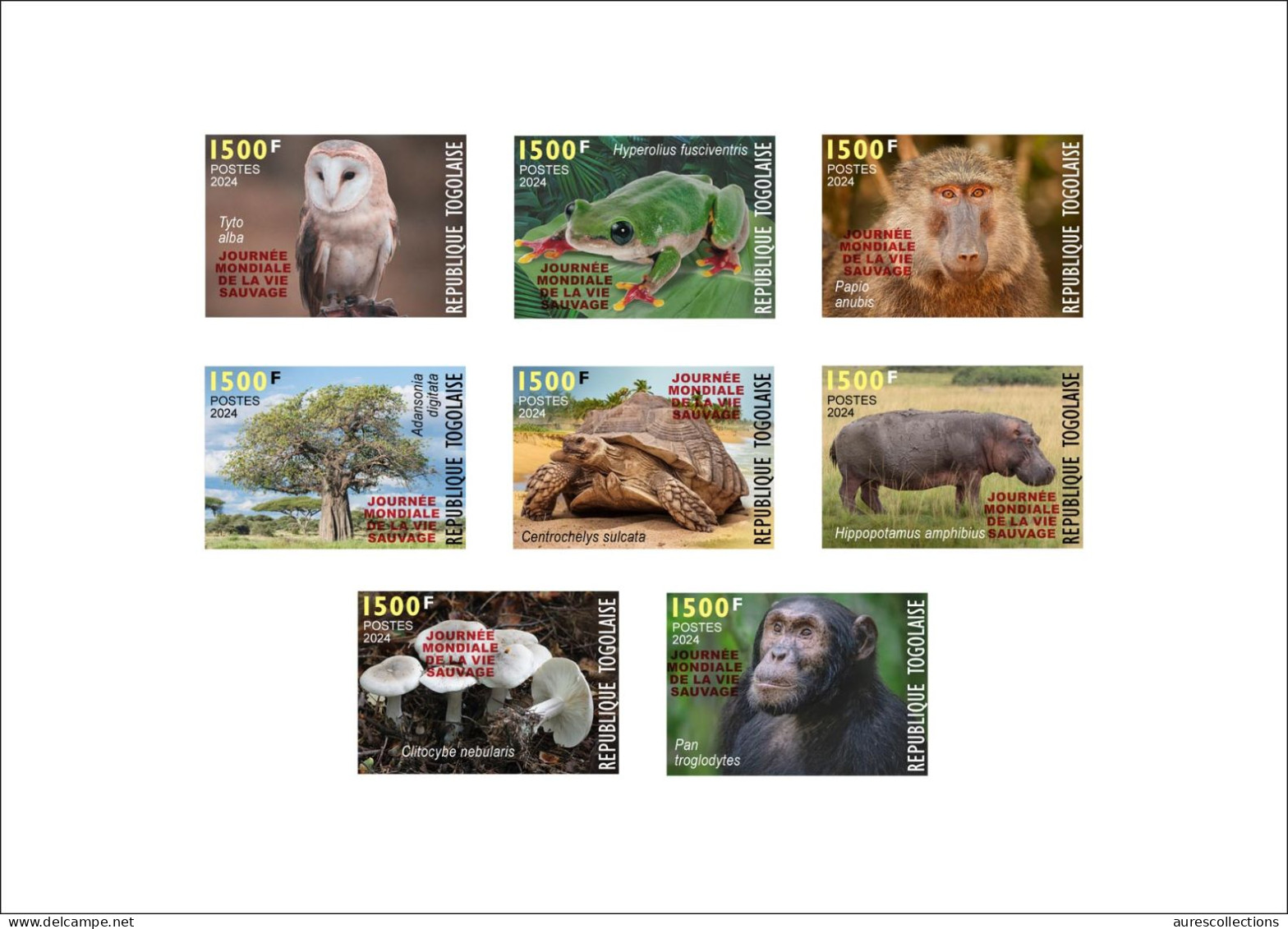 TOGO 2024 PACK 11 DELUXE PROOF - REG & OVPT - MUSHROOMS OWL FROG FROGS TURTLE TURTLES HIPPOPOTAMUS BAOBAB MONKEY MONKEYS