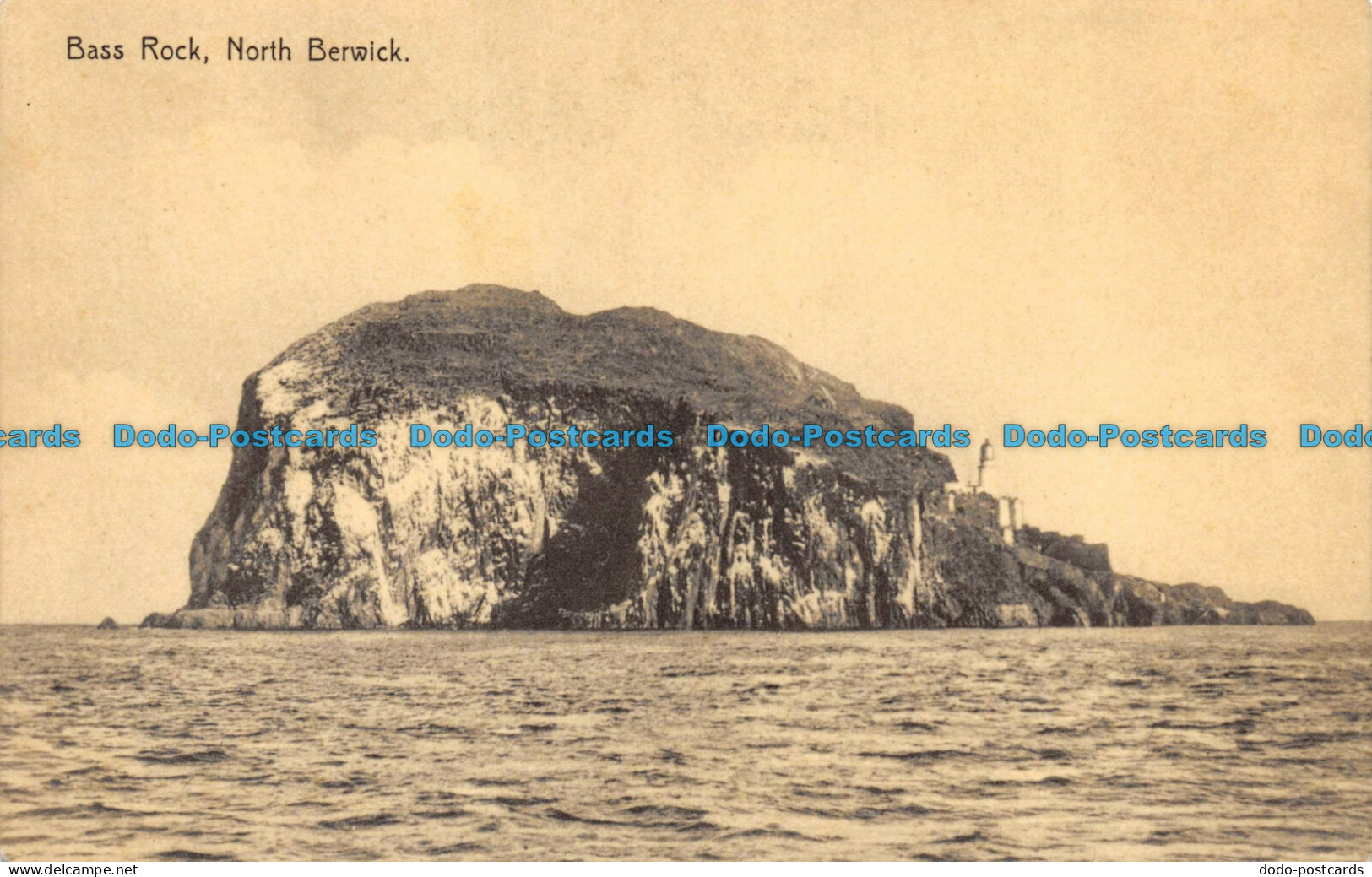 R084300 Bass Rock. North Berwick - Monde