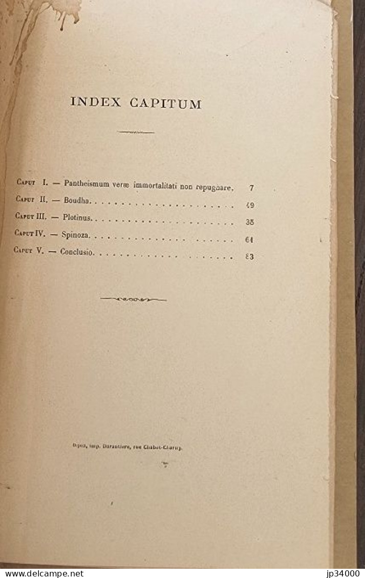 DE IMMORTALITATE PANTHEISTICA  (de L'immortalité Pantheistique) Alexis Bertrand En 1880 - Psychologie & Philosophie