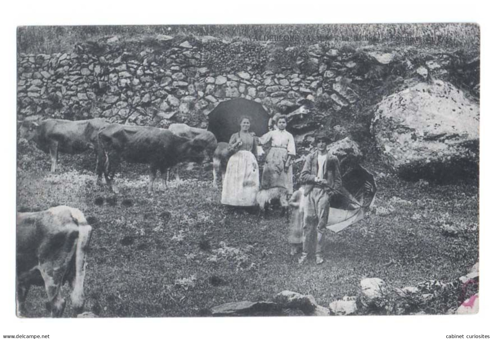 VALDEBLORE - 06 Alpes-Maritimes - VILLAGE DE LA BOLLINE - Paysans Et Leurs Vaches - Gros Plan - Animée - Paesani