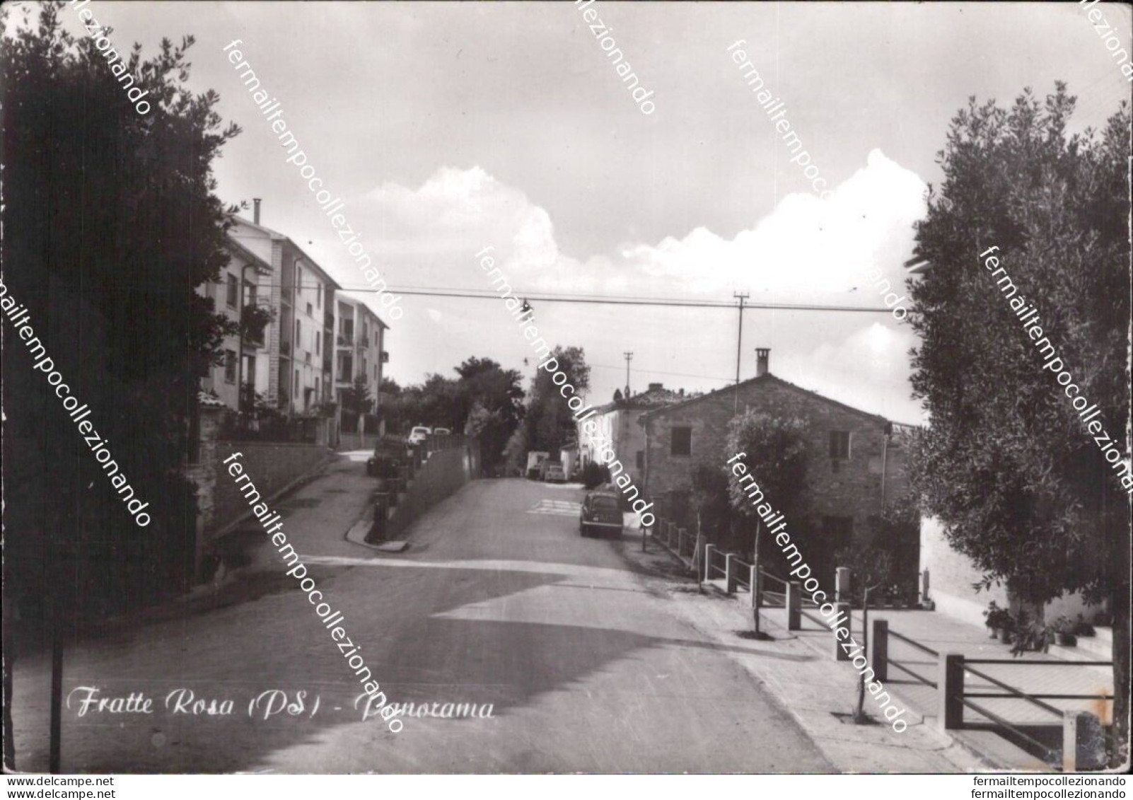 Bc751 Cartolina Fratte Rosa Panorama Provincia Di Pesaro Marche - Pesaro