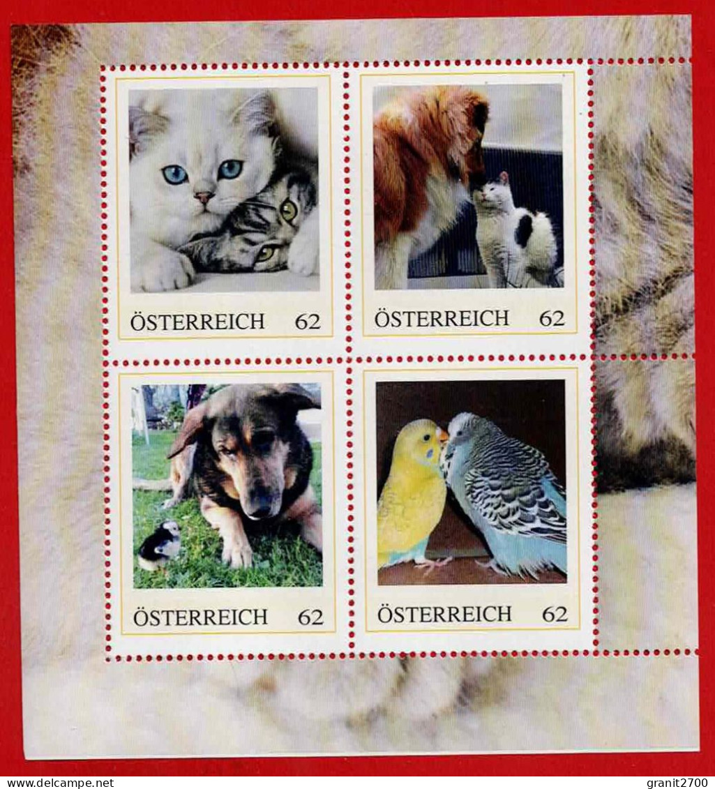 PM 4 Er Block Tiere  Lt. Scan Postfrisch - Personalisierte Briefmarken