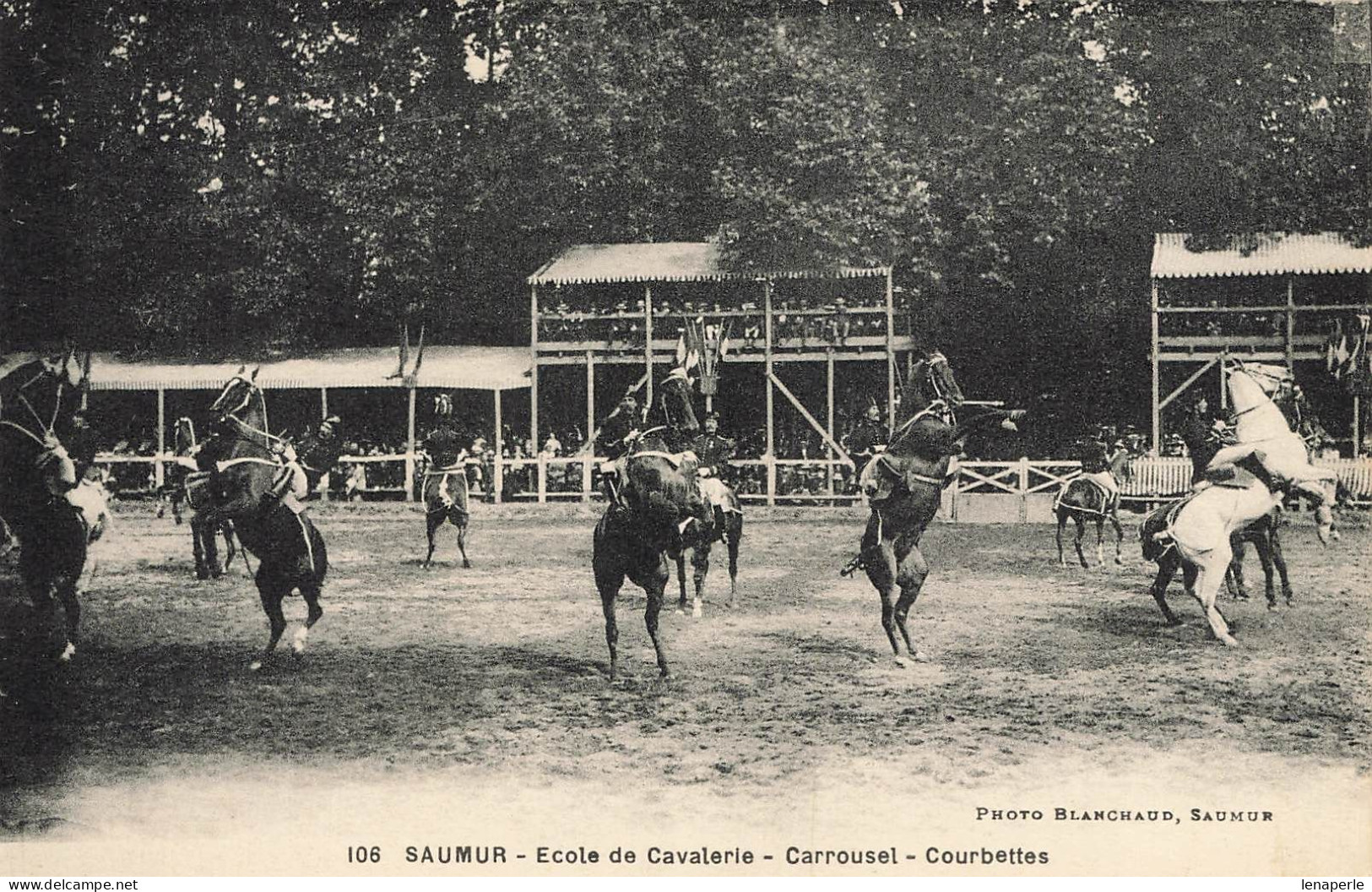 D9049 Saumur école De Cavalerie - Cholet