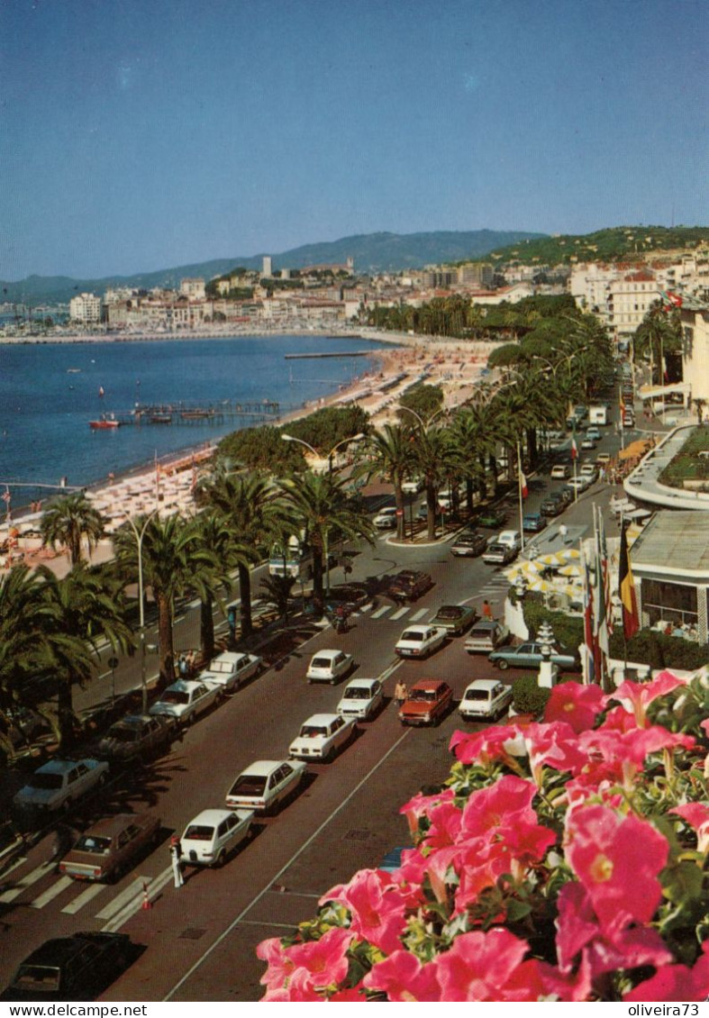 CANNES - La Promenade De La Croisette - Cannes
