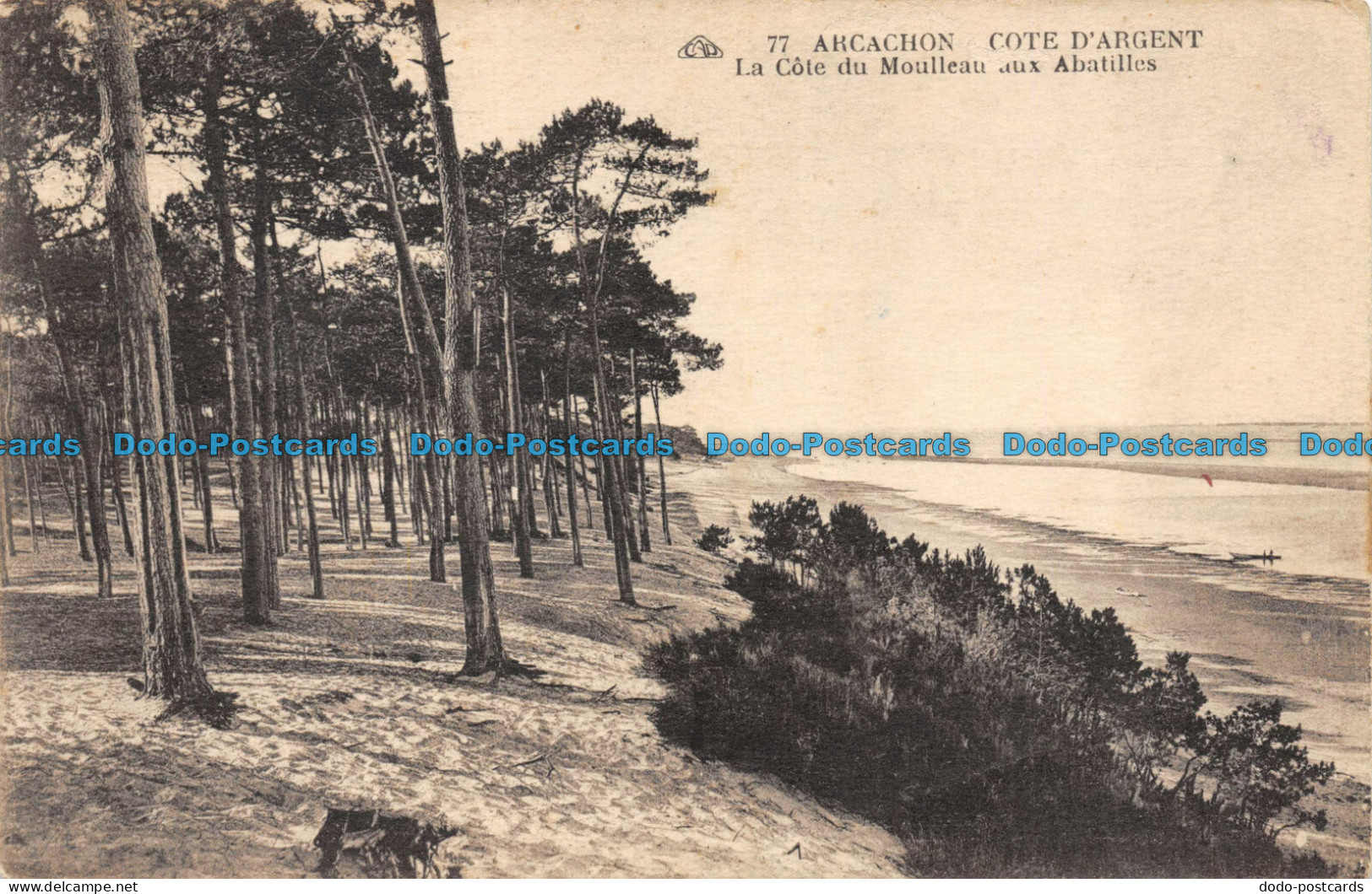 R084961 Arcachon. Cote D Argent. La Cote Du Moulleau Aux Abatilles. No 77. 1931 - Monde