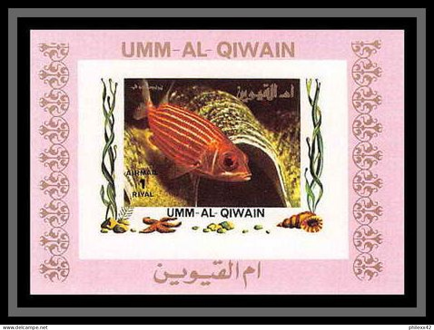 0030/ Umm Al Qiwain Deluxe Blocs ** MNH Michel N° 1466 / 1481 Tropical - Poissons (Fish) Rose Non Dentelé Imperf - Umm Al-Qiwain