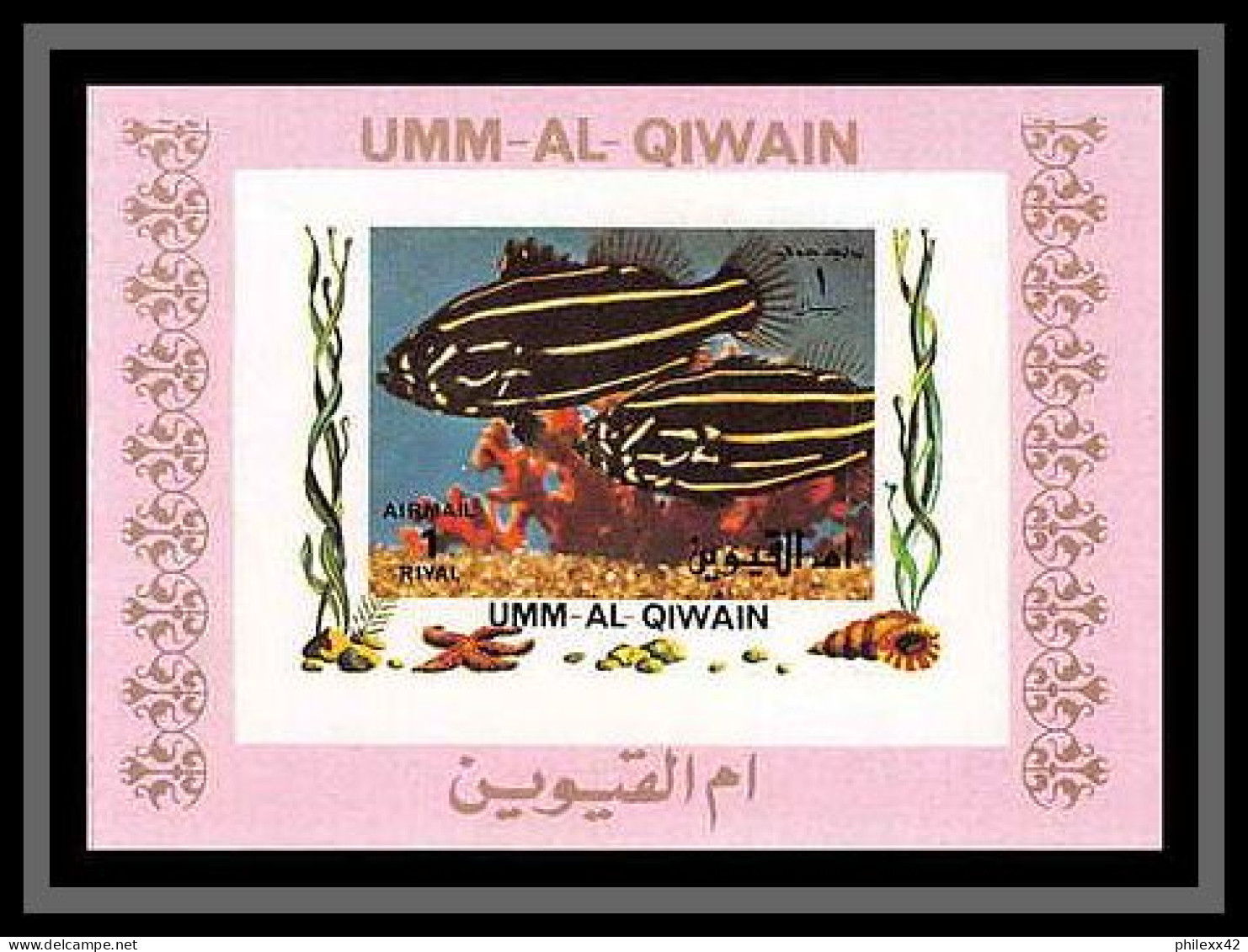 0030/ Umm Al Qiwain Deluxe Blocs ** MNH Michel N° 1466 / 1481 Tropical - Poissons (Fish) Rose Non Dentelé Imperf - Umm Al-Qiwain