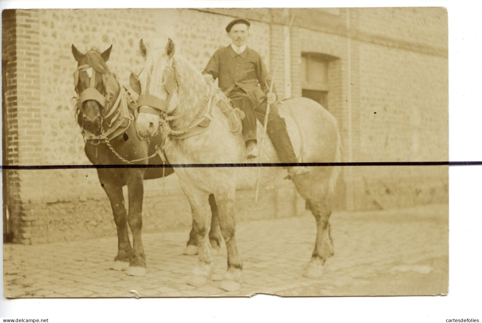 Carte Photo.  CPA . Un Homme Assis Sur Un Cheval , Paysan , Chevaux - Photographie