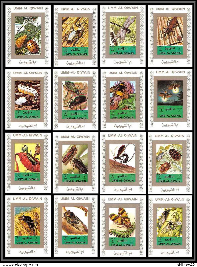 0036/ Umm Al Qiwain Deluxe Blocs ** MNH Michel N° 1338 / 1353 Insectes (insects) Blanc Non Dentelé Imperf - Umm Al-Qaiwain