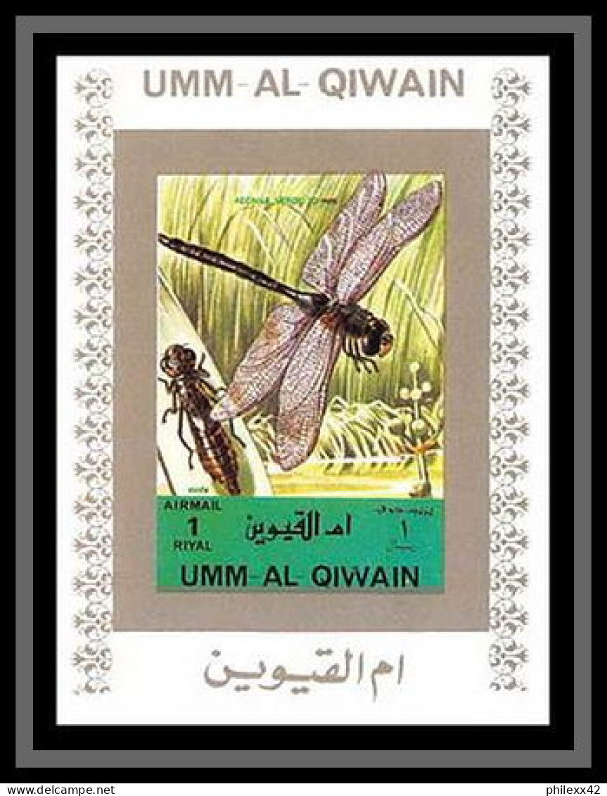 0036/ Umm Al Qiwain Deluxe Blocs ** MNH Michel N° 1338 / 1353 Insectes (insects) Blanc Non Dentelé Imperf - Umm Al-Qaiwain