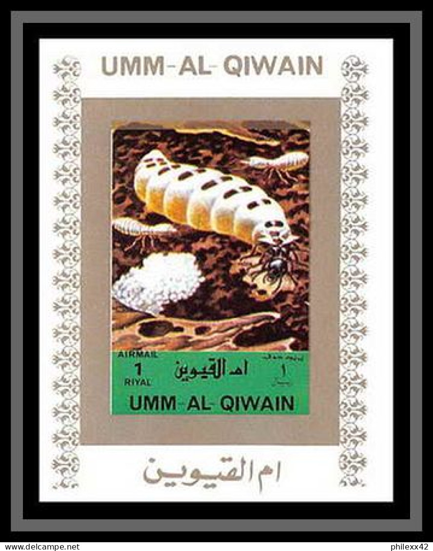 0036/ Umm al Qiwain deluxe blocs ** MNH michel N° 1338 / 1353 insectes (insects) blanc non dentelé imperf