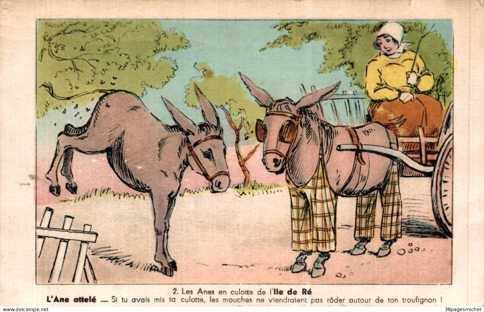 K1105 - Illustrateur - Les ÂNES En Culotte De L' ÎLE De RÉ - Zonder Classificatie