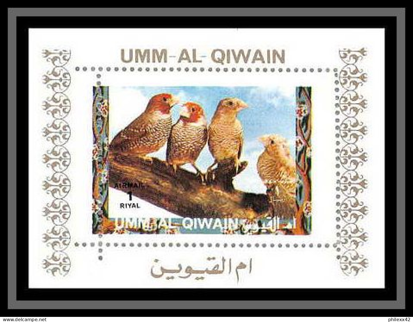 0057/ Umm Al Qiwain Deluxe Blocs ** MNH Michel N° 1402 / 1417 Parrots And Finches Oiseaux (birds) Tirage Blanc White - Papegaaien, Parkieten