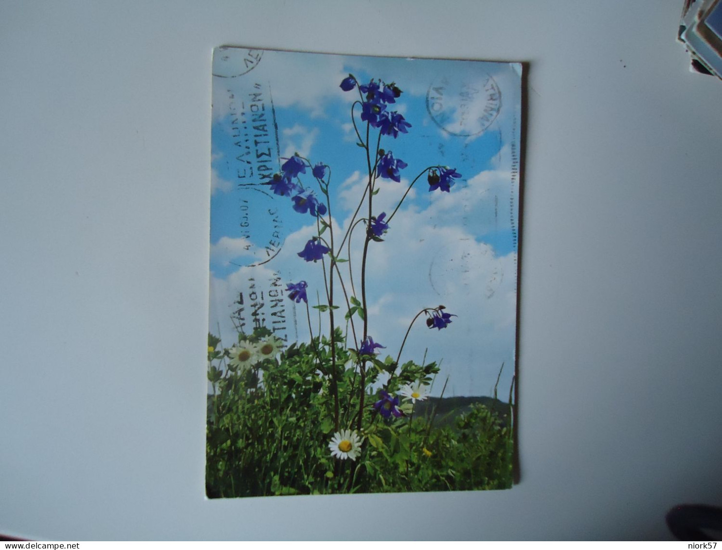 GERMANY    POSTCARDS   1969 RASTATT FLOWERS   MORE  PURHASES 10% DISCOUNT - Autres & Non Classés