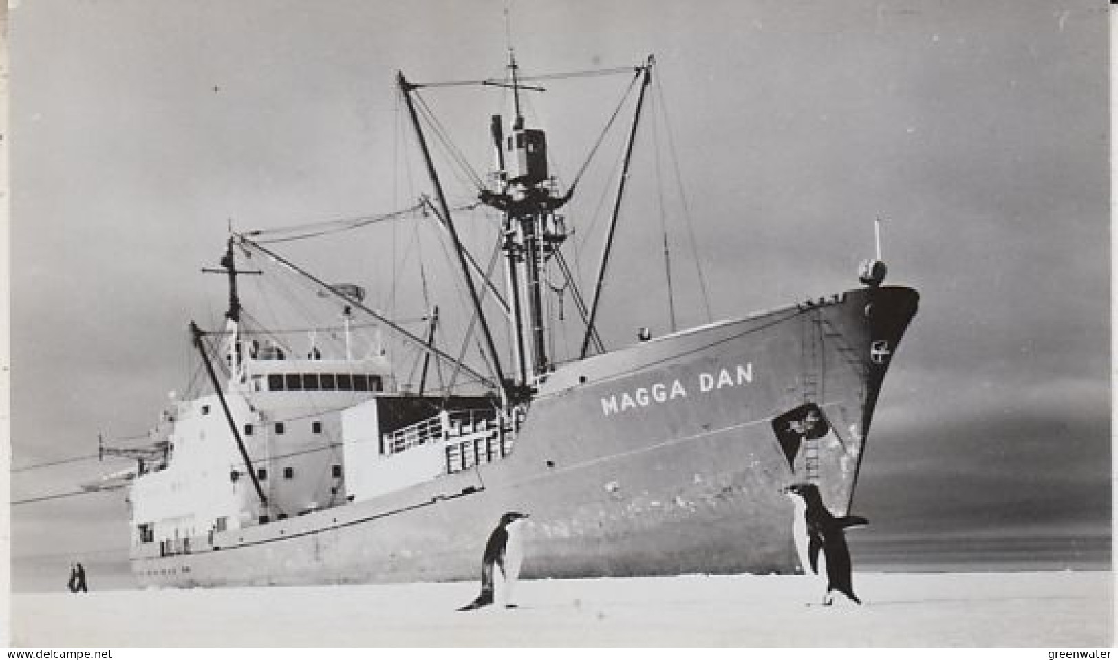 Ross Dependency MS Linblad Antarctic Tourist Exp. NZARP  Ca Magga Dan Ca Scott Base 20 FEB 1968 (RT221) - Cartas & Documentos