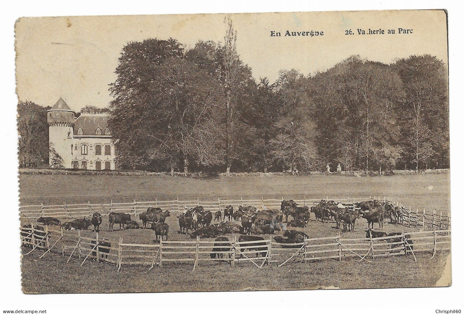 CPA - En Auvergne - Vacherie Au Parc - Edit. B. Laborie - - Auvergne