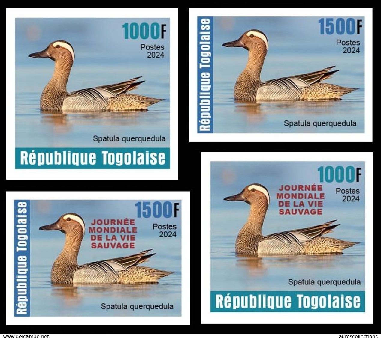 TOGO 2024 SET 4V IMPERF - REG & OVERPRINT - DUCK DUCKS CANARD CANARDS - BIRDS OISEAUX VOGEL - MNH - Patos