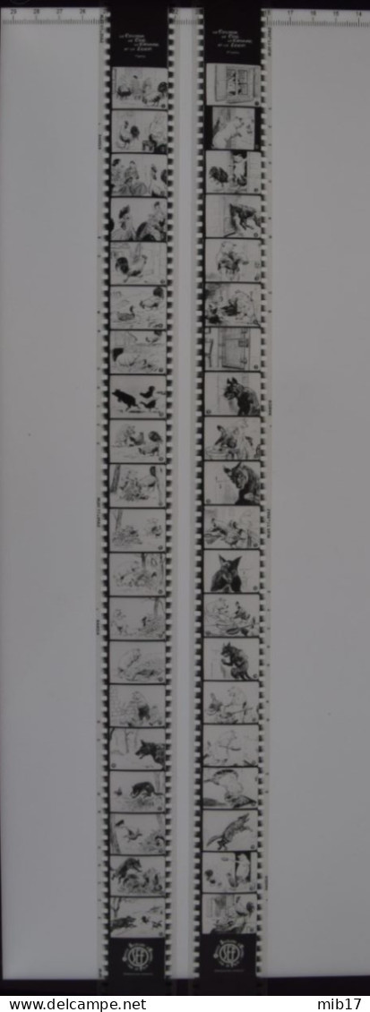 2 Films OSEF Pour PATHEORAMA Avec Boite D'origine - Contes De Bêtes - Le Cochon, Le Coq, Le Canard, Et Le Loup I & II - Filmspullen: 35mm - 16mm - 9,5+8+S8mm