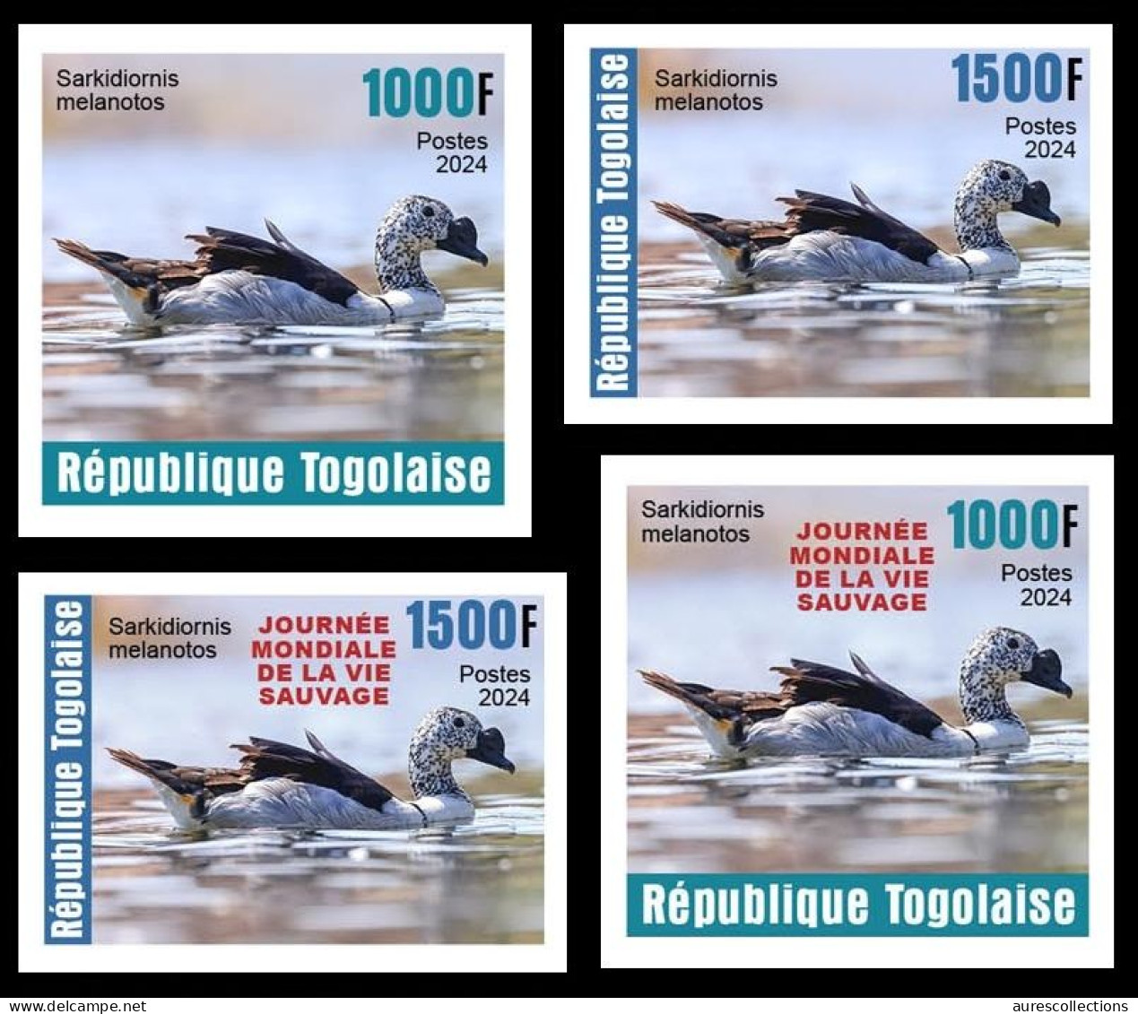 TOGO 2024 SET 4V IMPERF - REG & OVERPRINT - SARKIDIORNIS DUCK DUCKS CANARD CANARDS - BIRDS OISEAUX VOGEL - MNH - Eenden