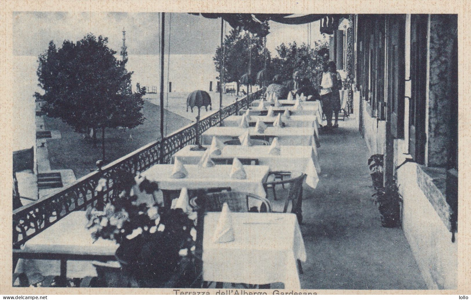 Veneto  -  Verona -  Torri Del Benaco  - Terrazza Albergo Gardesana   - F. Piccolo  - Cartoncino -  Bella - Sonstige & Ohne Zuordnung