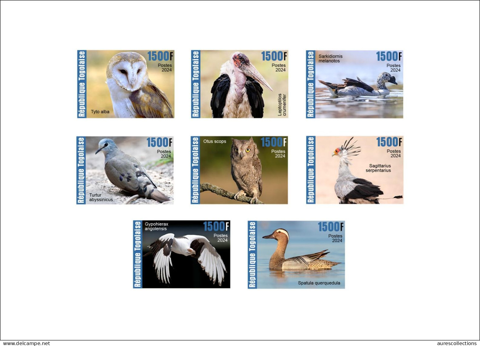 TOGO 2024 SET 2 DELUXE PROOF - REG & OVERPRINT - BIRDS OISEAUX - DUCK DUCKS BARN OWL OWLS SECRETARY BIRD EAGLES DOVES - Eulenvögel