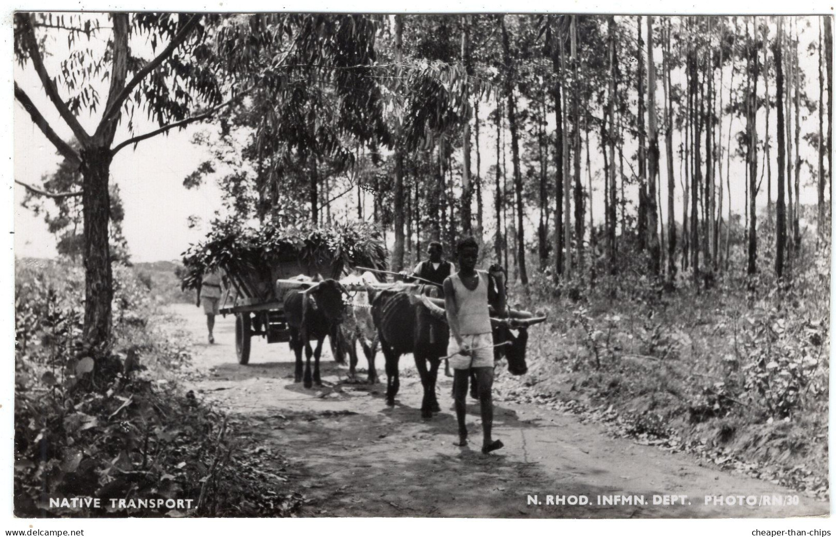 ZAMBIA - Rural Scene - Bullock Cart - Zambia