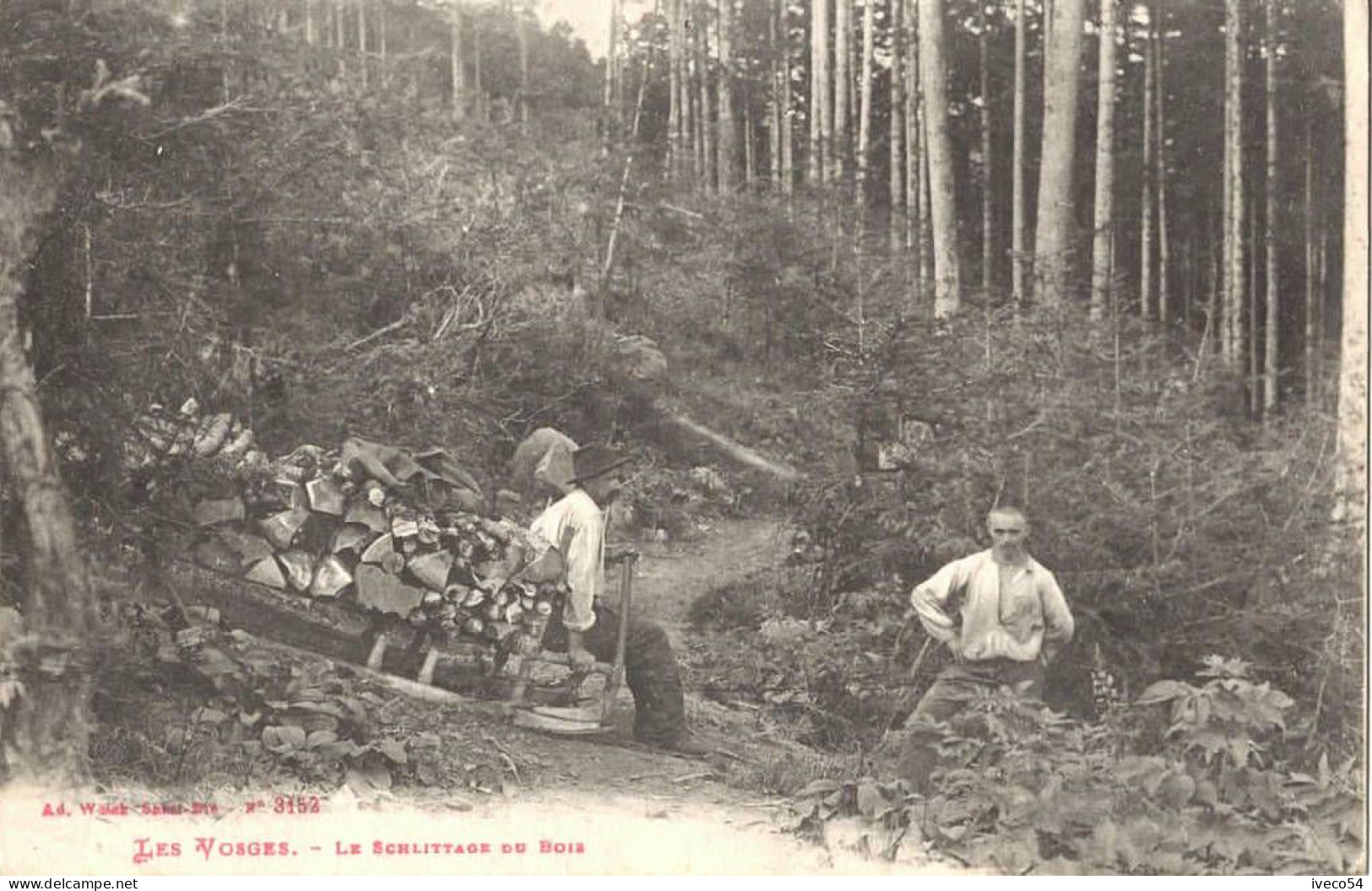 1919  Les Vosges   Saint Dié  " Le Schlittage Du Bois " - Saint Die