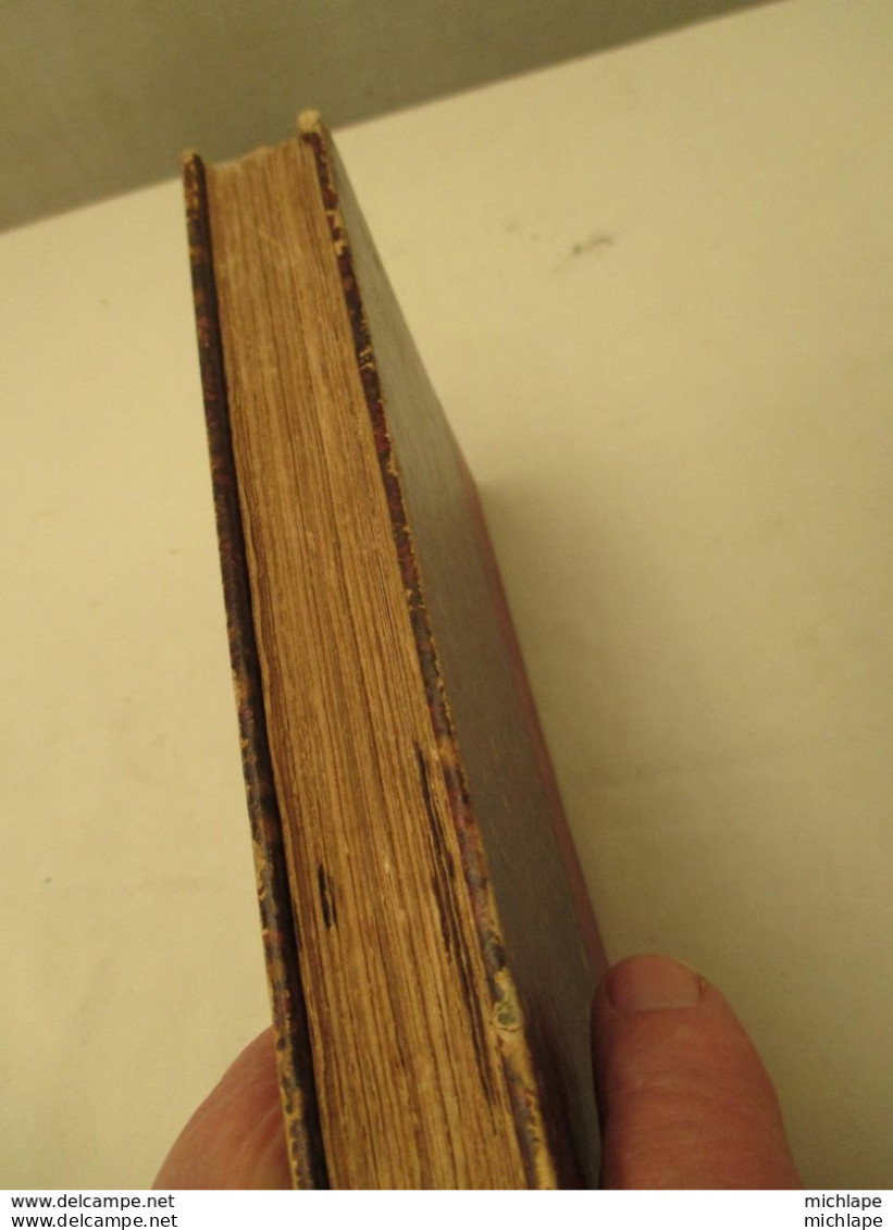 VOYAGE EN PYRENEES 1858 - régionalisme -  350 pages  reliées - format 12 cm par 19 - couverture  cartonnée