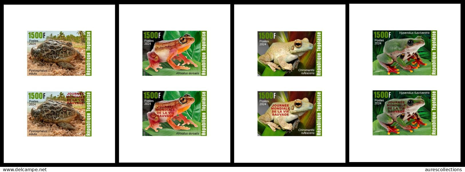 TOGO 2024 SET OF 4 DELUXE PROOF - REG & OVERPRINT - AMPHIBIANS AMPHIBIENS - FROGS FROG TOAD TOADS GRENOUILLES GRENOUILLE - Kikkers