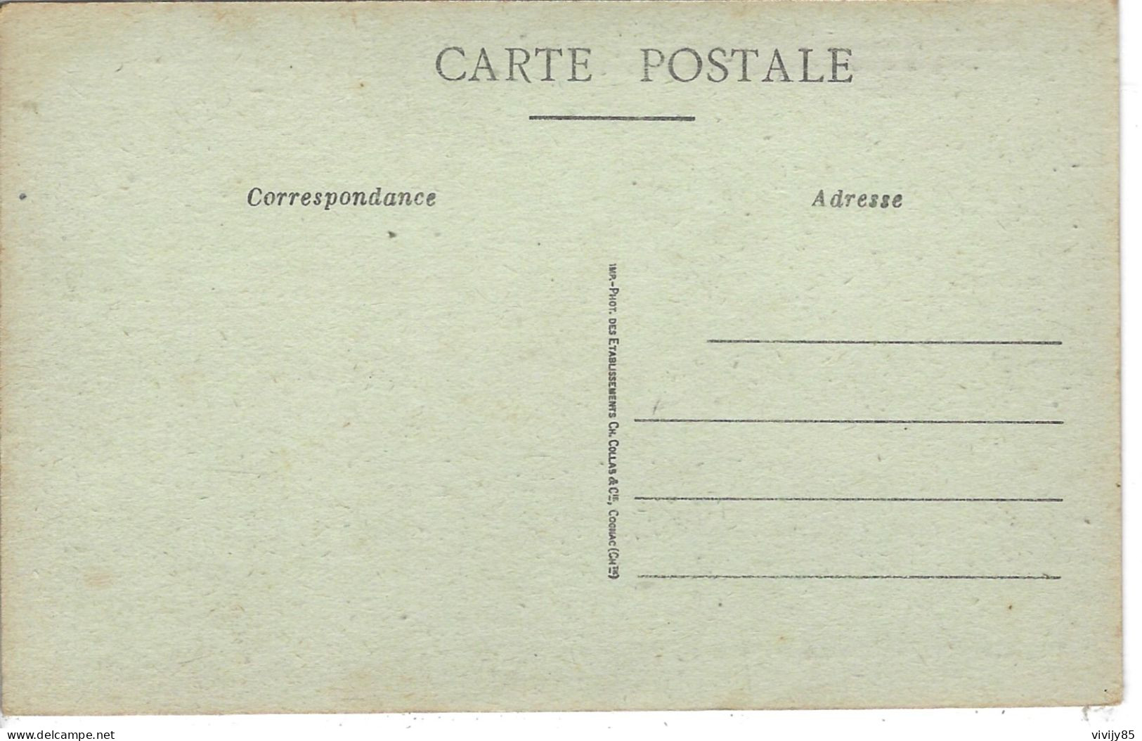 85 - VOUILLE - (Canton De CHAILLE)- Le JARD -Troupeau D'oies - Other & Unclassified