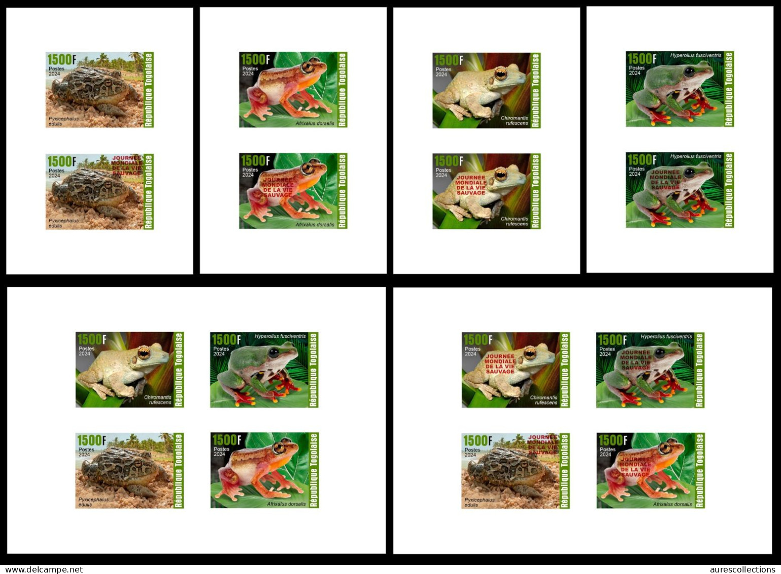 TOGO 2024 PACK 6 DELUXE PROOF - REG & OVERPRINT - AMPHIBIANS AMPHIBIENS - FROGS FROG TOAD TOADS GRENOUILLES GRENOUILLE - Frösche