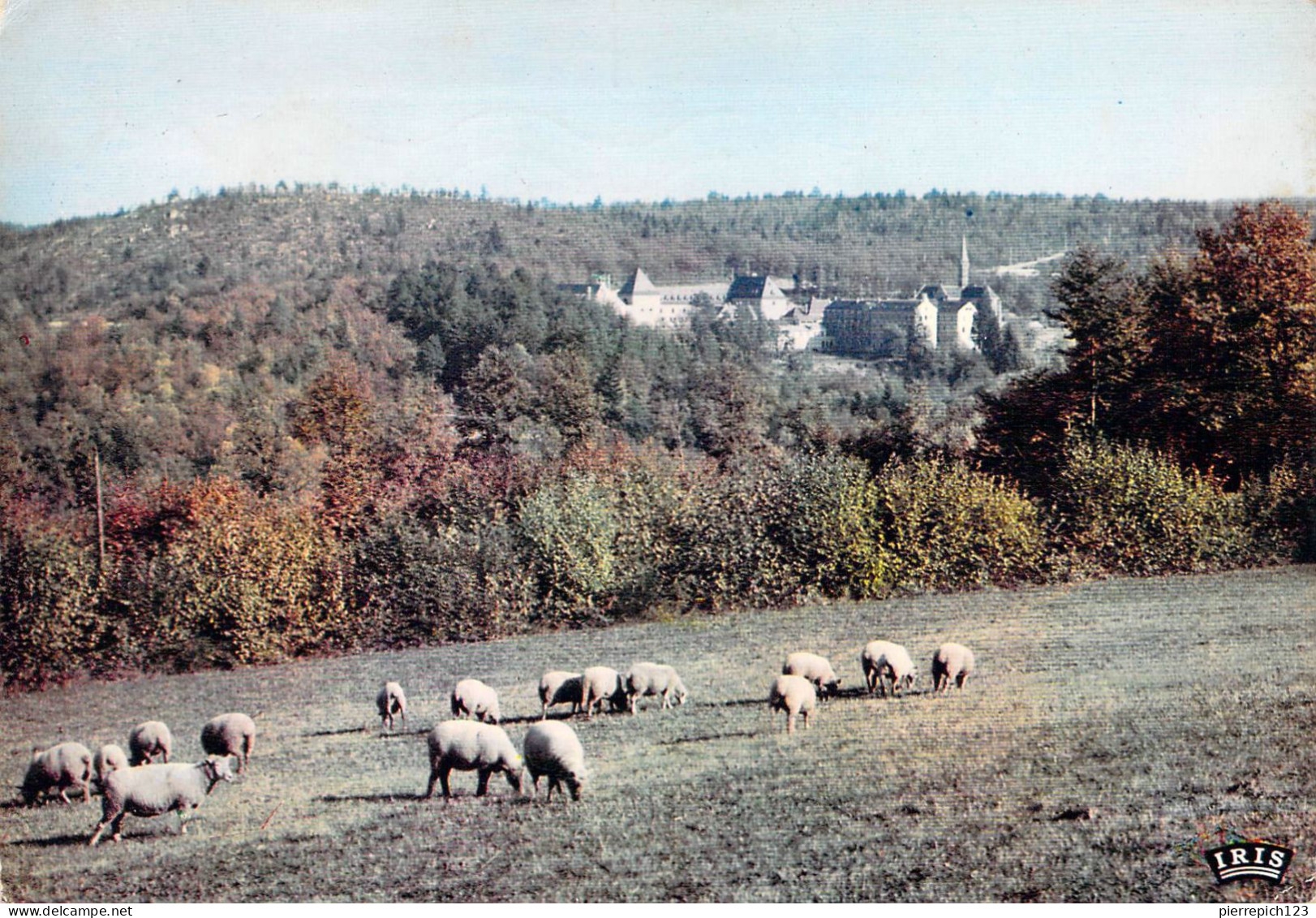 89 - Saint Léger Vauban - Abbaye De La Pierre Qui Vire - Vue Générale - Other & Unclassified