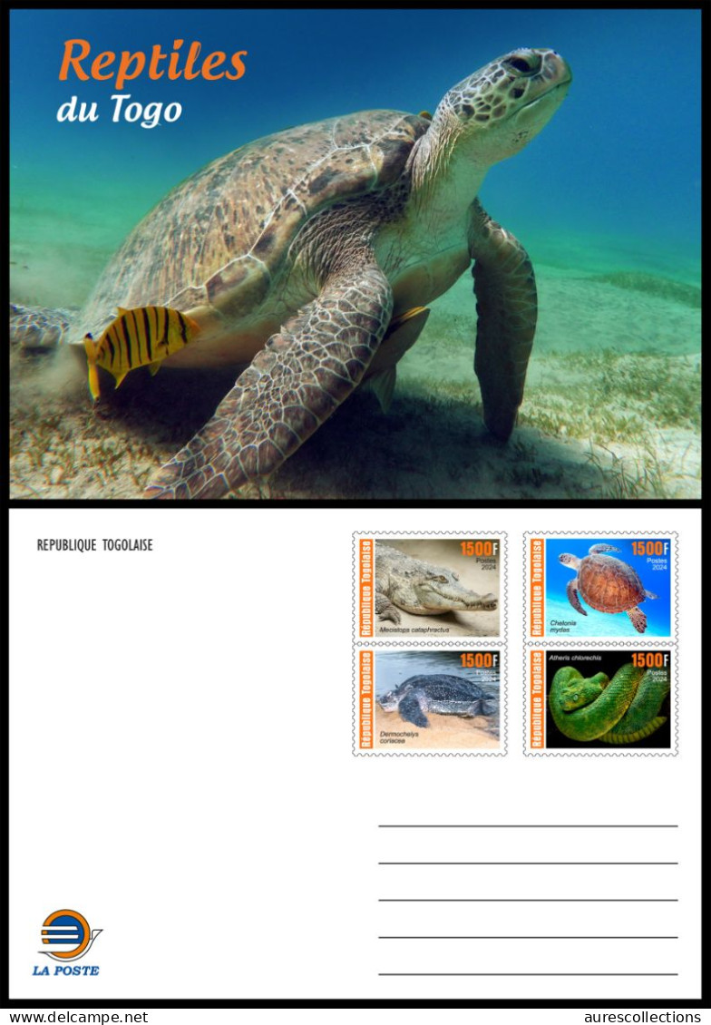 TOGO 2024 STATIONERY CARD - REG - REPTILES - TURTLE TURTLES TORTUES SNAKE SNAKES SERPENTS CROCODILE - Schildpadden