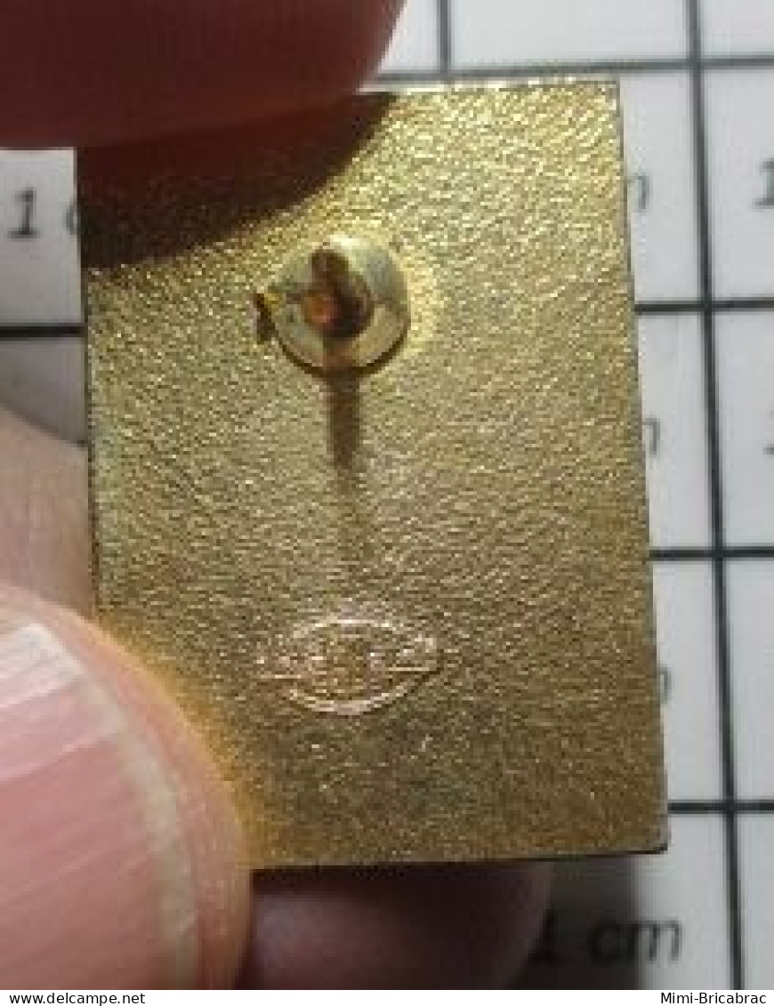 1818B Pin's Pins / Beau Et Rare / MARQUES / 1e SALON FRANCO-SUISSE De Quoi ? - Marche