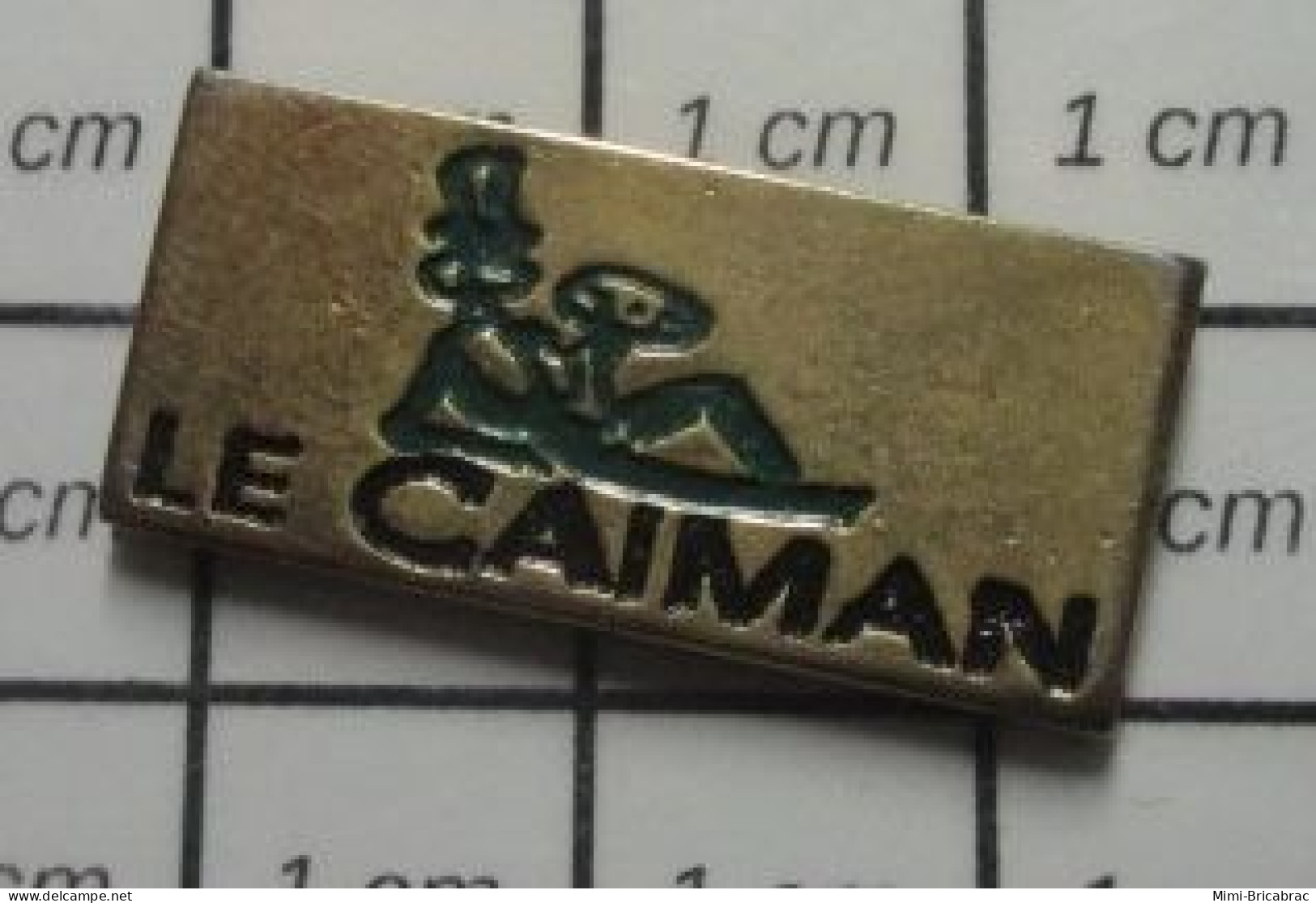 1818c Pin's Pins / Beau Et Rare / MARQUES / LE CAÏMAN Il Croque Odile ? - Trademarks