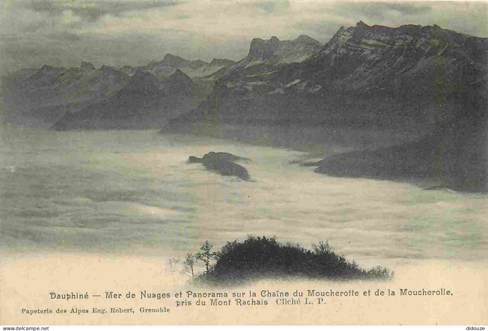 38 - Isère - Mer De Nuages Et Panorama Sur La Chaîne Du Moucherotte Et De La Moucherolle Pris Du Mont Rachais - CPA - Vo - Andere & Zonder Classificatie